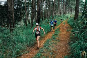 BIB: 
                            <button type="button" onclick="openModal(25657152)" class="btn btn-primary btn-sm float-right btn-popup" data-toggle="modal" data-target=".modal-high-quality">
                        <i class="fas fa-shopping-cart"></i> Add to Cart
                    </button>
                                            <button type="button" onclick="isThisMe(25657152, true)" class="btn btn-success btn-sm float-right btn-popup btn-isme hidden" data-toggle="tooltip" data-placement="bottom" title="นี่คือรูปของคุณใช่ไหม คลิกที่นี่เพื่อเอาเข้าอัลบั้ม">
                        <i class="fas fa-plus"></i> Add to album
                    </button>
                    <button type="button" onclick="isThisMe(25657152, false)" class="btn btn-warning btn-sm float-right btn-popup btn-isnotme hidden">
                        <i class="fas fa-ban"></i> Remove from album
                    </button>